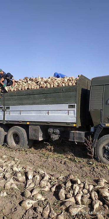 Грузовики: Грузовик, Камаз, Стандарт, 7 т, Б/у — 21