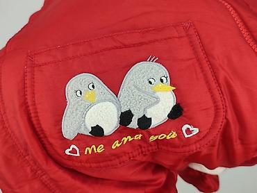 bluza grinch h: Kombinezon, C&A, 1-3 m, stan - Bardzo dobry — 6