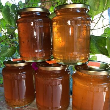 Bal: 100% qarantiya verilir təbii olduğuna! . 100% Təbii Bal zəmanət -da lalafo.az — 12 Bal: 100% qarantiya verilir təbii olduğuna! . 100% Təbii Bal zəmanət — 12