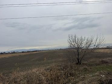 Продажа участков: 430 соток, Для сельского хозяйства, Договор купли-продажи — 7