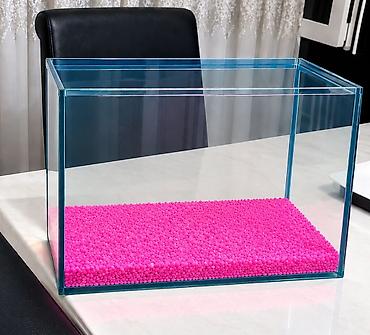 Dördbucaq akvarium, Balıqlarla birlikdə, 15 l