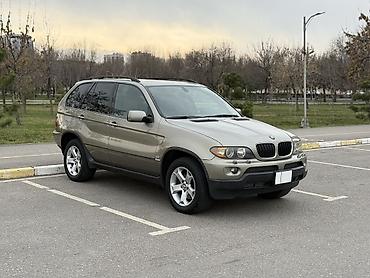 BMW: BMW X5: 2004 г., 3 л, Автомат, Бензин, Кроссовер — 3