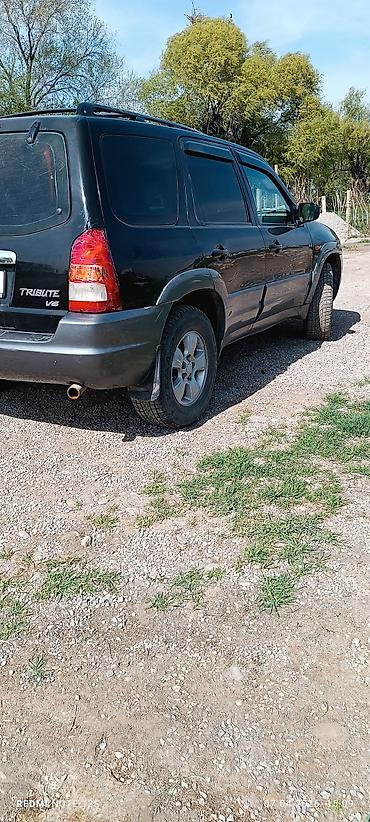 Mazda: Mazda Tribute: 2021 г., Кроссовер — 6