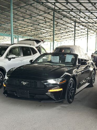 Ford: Ford Mustang: 2022 г., 2.3 л, Автомат, Бензин, Кабриолет