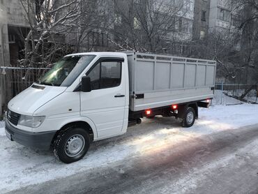 бризгавик на спринтер: По стране, с грузчиком