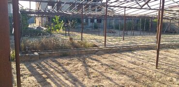 Torpaq sahələrinin satışı: 18 sot, Tikinti, Mülkiyyətçi, Kupça (Çıxarış)