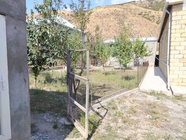 Bağlı həyəti və meyvə ağacları olan fərdi yaşayış evi. - Həyətyanı