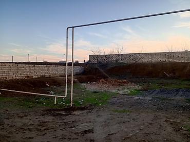 Torpaq sahələrinin satışı: 2 sot, Tikinti, Bələdiyyə -da lalafo.az — 8 Torpaq sahələrinin satışı: 2 sot, Tikinti, Bələdiyyə — 8