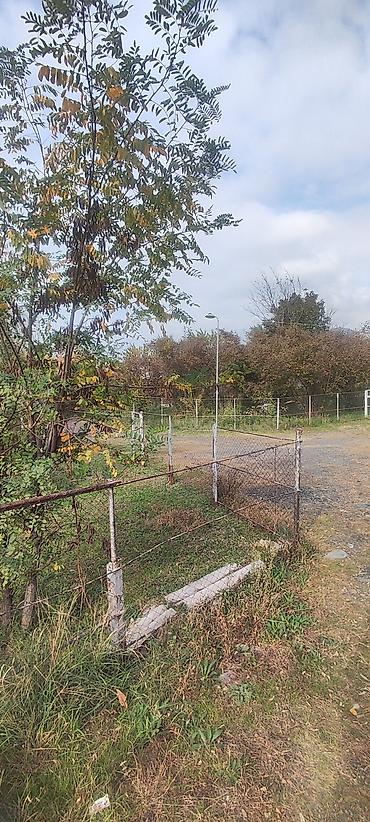 qubada torpaq satilir 2026: 18 sot, Kənd təsərrüfatı, Mülkiyyətçi, Kupça (Çıxarış) — 10