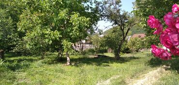 Torpaq sahələrinin satışı: 10 sot, Tikinti, Mülkiyyətçi, Kupça (Çıxarış) — 16