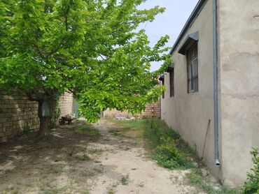 Bağ evlərinin satışı: Digah, 144 kv. m, 4 otaqlı, Hovuzsuz, Kombi, Qaz, İşıq — 21