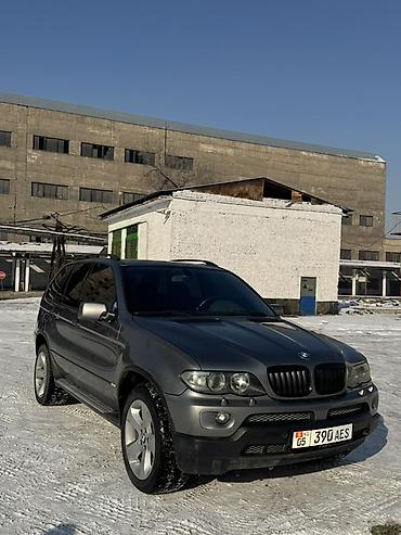BMW: BMW X5: 2002 г., 3 л, Автомат, Дизель, Кроссовер — 2