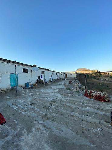 Torpaq sahələrinin satışı: 50 sot, Tikinti, Maklerlər narahat etməsin, Kupça (Çıxarış), Bələdiyyə — 2