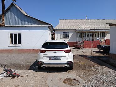 рестайл: Kia Sportage: 2021 г., 1.6 л, Автомат, Дизель, Кроссовер — 4