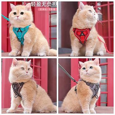 Продажа собак: Устали от шерсти и линьки.Продаю машинку для стрижки собак и — 25