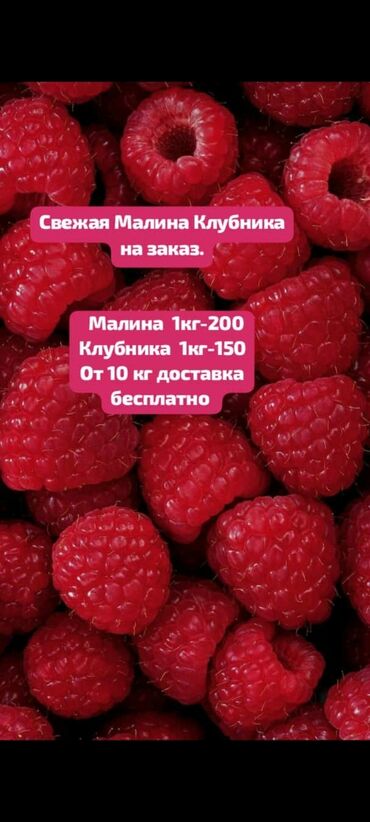 бутылки 10 л: Свежая Малина Клубника на заказ доставка от 10 кг бесплатно