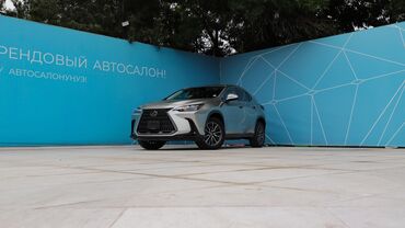 лексус 460 2018: Lexus NX: 2022 г., 2.4 л, Вариатор, Бензин, Кроссовер