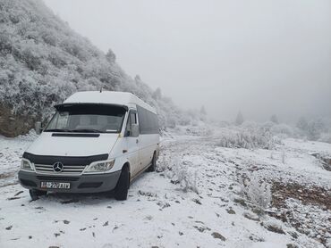 Трансфер, пассажирские перевозки: По региону, Аэропорт, Кордай КПП Бус, Автобус | 13 мест