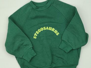 stradivarious stroje kąpielowe: Sweatshirt, SinSay, 3-4 years, 98-104 cm, condition - Very good