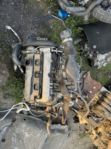 крыло на ауди с 4: Бензиндик кыймылдаткыч Opel 2005 г., 1.6 л, Колдонулган, Оригинал, Германия