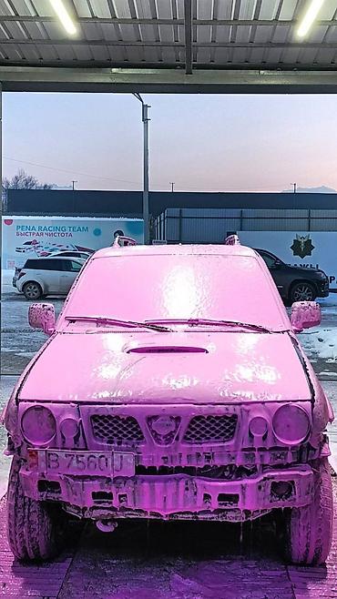Унаа сатуу: Nissan Mistral: 1996 г., 2.4 л, Кол менен иштөөчү, Бензин, Жол тандабас — 4
