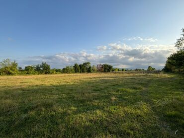 Torpaq sahələrinin satışı: 80 sot, Kənd təsərrüfatı, Mülkiyyətçi, Kupça (Çıxarış), Müqavilə — 9