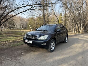 Lexus: Lexus RX: 2003 г., 3 л, Автомат, Газ, Кроссовер — 4