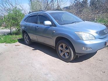 rx 200: Lexus RX: 2003 г., 3 л, Автомат, Бензин, Кроссовер — 3
