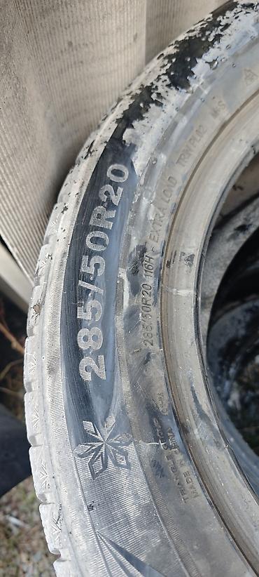 r15 205: Зимние шины Triangle 285/50 R20 (M+S, Extra Load, индекс нагрузки 116 — 3