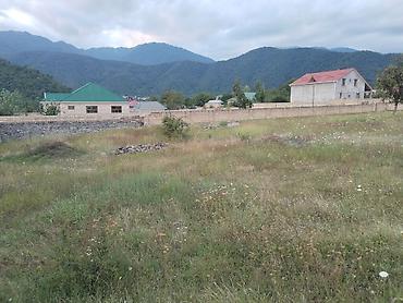 kənd: 24 sot, Biznes üçün, Maklerlər narahat etməsin, Kupça (Çıxarış) — 4