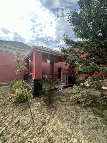 Uzunmüddətli kirayə mənzillər: Oz evimdi.6sotu ve Heyetde her nov agac var.Su isiq qaz daimidi.Sened -da lalafo.az — 17 Uzunmüddətli kirayə mənzillər: Oz evimdi.6sotu ve Heyetde her nov agac var.Su isiq qaz daimidi.Sened — 17