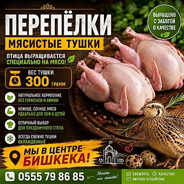 Мясо перепёлок! Мясистые тушки весом 300 грамм. Качество отличное. Мы
