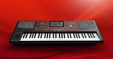 Спорт и хобби: Korg pa700 завод пакет коробка өзүнөр ачасынар масло иштетилген эмес — 3