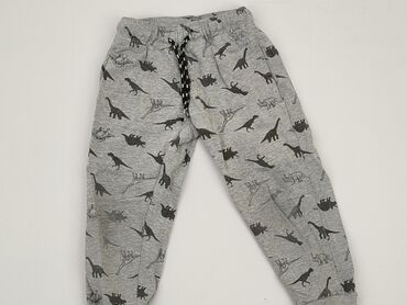 szerokie szare spodnie: Spodnie dresowe, Lupilu, 3-4 lat, 104, stan - Dobry