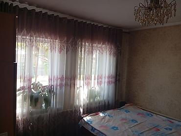 Деревянные штакетники: Деревянные штакетники, Покраска забора — 29