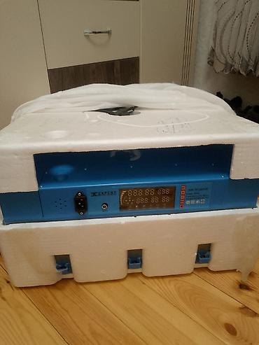EC Expert mini inkubator - Brend/model: EC Expert Mini Incubator -