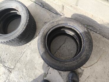 шины бу бишкек оптом: Шины 155 / 65 / R 13, Зима, Б/у, Комплект, Легковые, Япония, Daewoo