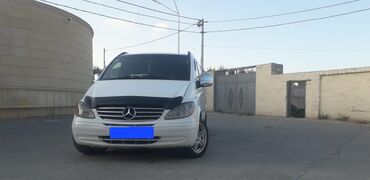 vito oturacaqlari: Mercedes-Benz Vito: 2.2 l. | 2008 il | Van/Minivan