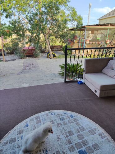 Həyət evləri və villaların satışı: 6 otaqlı, 350 kv. m — 11