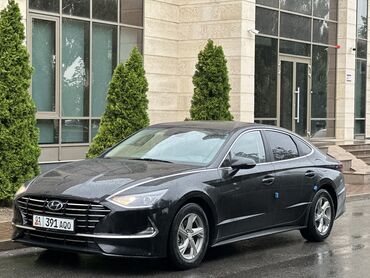 газ 53матор: Hyundai Sonata: 2019 г., 2 л, Автомат, Газ, Седан