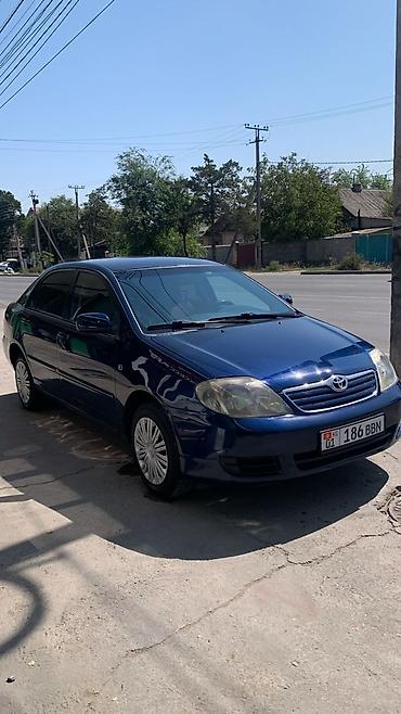 tayota karolla: Toyota Corolla: 2004 г., 1.6 л, Автомат, Бензин, Седан — 1
