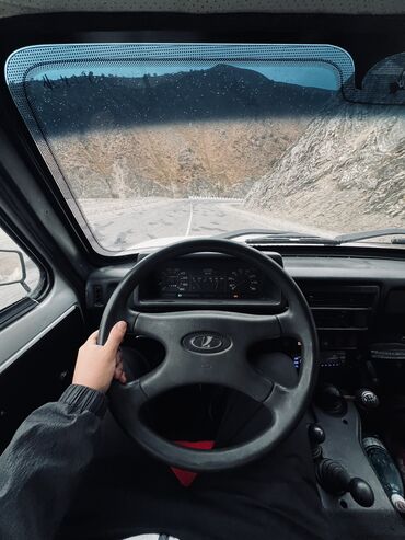 ВАЗ (ЛАДА): ВАЗ (ЛАДА) 4x4 Нива: 2008 г., 1.7 л, Механика, Бензин, Внедорожник — 9