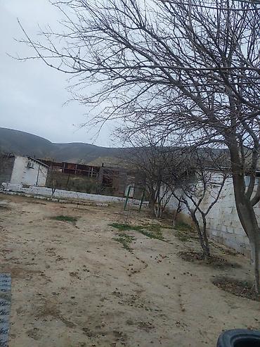 Bağ evlərinin satışı: Xırdalan, 12000 kv. m, 4 otaqlı, Hovuzsuz, Su — 11