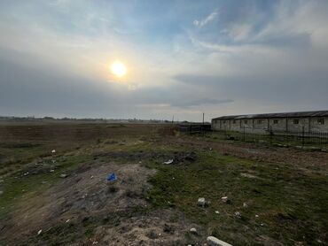 Torpaq sahələrinin satışı: Kənd təsərrüfatı — 12