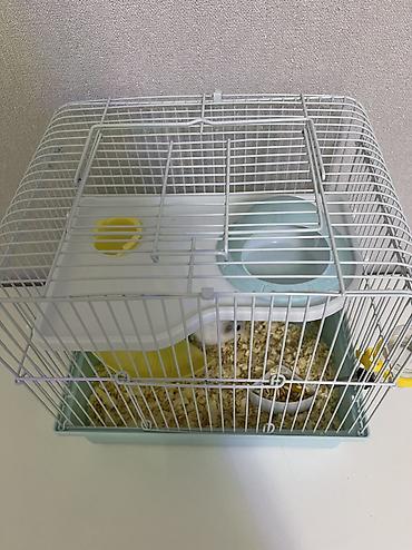 Другие животные: 30azn satılır Hamster qəfəs,qum, yemi hamısı bir yerdə — 4
