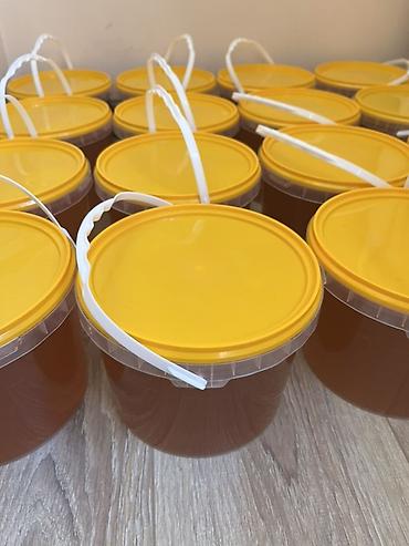 пчелопакеты купить: Натуральный мёд в ведёрках - Продукт: пчелиный мёд - Тара: прозрачные — 1