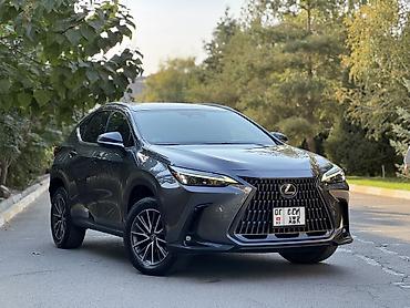 окончательно: Lexus NX: 2022 г., 2.5 л, Автомат, Гибрид, Кроссовер — 2