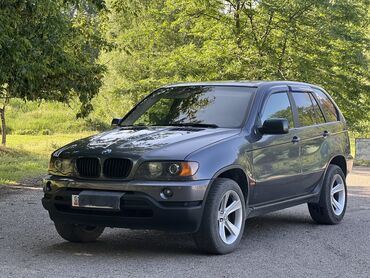 BMW: BMW X5: 2000 г., 3 л, Типтроник, Бензин, Кроссовер