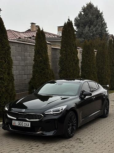 bi: Kia Stinger: 2019 г., 2 л, Автомат, Бензин, Фастбек — 3