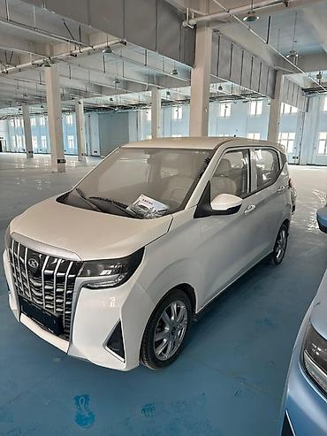 Microcar: Microcar : 2026 г., Электромобиль, Минивэн — 4